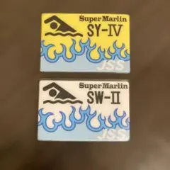 Item thumbnail for item 7209a250-18cd-45f7-91a2-29283d2ecd0e