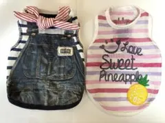 Item thumbnail for item 43559512-5474-449d-83ef-0ac7ed8afedf