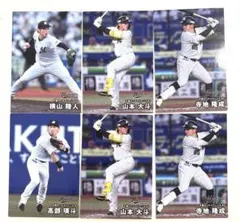 2026年最新】プロ野球チップスカード まとめ売りの人気アイテム - メルカリ