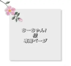 ちーちゃん！様専用ページ