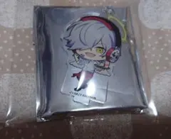 CRAZY RACCOON アクリルキーホルダー　だるまいずごっど