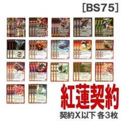 5c蒼龍 ベン天門 バラモルド デッキ パーツ - メルカリ
