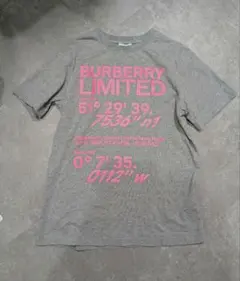 BURBERRY グレー Tシャツ 14y 160cmバーバリー