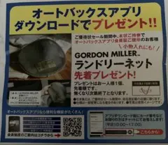 GORDON MILLER ランドリーネット
