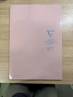 SEVENTEEN CARAT MAGAZINE VOL.11