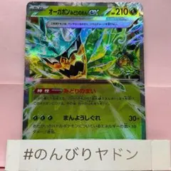 オーガポンみどりのめんex RR 1枚 pch701
