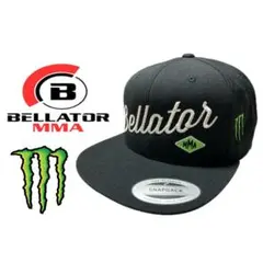 Item thumbnail for item 3a858e36-5bcd-4774-878d-f66490667a39