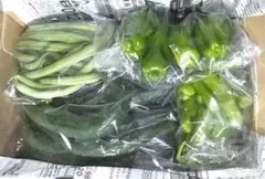 ✦胡瓜多めの夏野菜セット✦ゆうパケットプラス箱のサムネイル