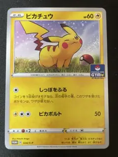 P9223 ピカチュウ GYM プロモ しっぽをふる PROMO 024/S-P