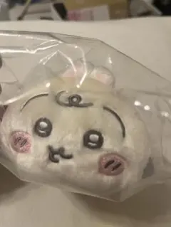 Item thumbnail for item 9253fb76-40cc-4bc2-9ca3-b506442d132c