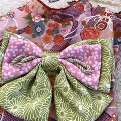 美品　犬服　着物　晴れ着