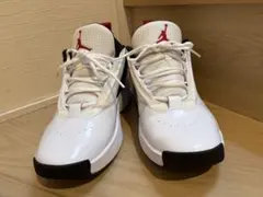 ジョーダン マックス オーラ 6 28cm