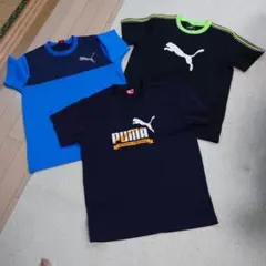 PUMA Tシャツ 3枚セット