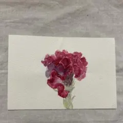 手描き 水彩画 ケイトウ 花 アート