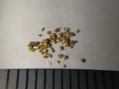 国産砂金 中粒小粒 全て厚みあり 天然金 自然金 GOLD M18 - メルカリ