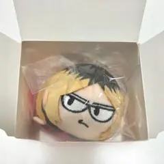 アニプラザ ハイキュー ジロリ トレーディング たわらっこ 孤爪研磨 ②