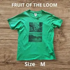 フルーツオブザルーム Tシャツ Mサイズ