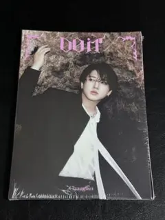 チャンビン ACCORDION straykids DO IT 未開封 15