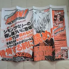 家庭教師ヒットマンREBORN! ペーパー パンフレット