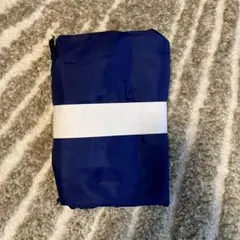 Item thumbnail for item 910cbd27-0a27-4dae-b9ca-7e03ff8e3e71