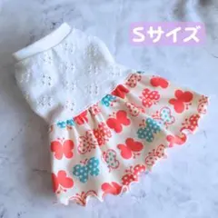 스몰 사이즈 빠삐용 무늬 가상 드레스 일본 핸드메이드 소형견 강아지 옷