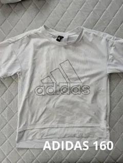 Item thumbnail for item 1fae4fc3-31a1-4871-9fde-2a28355e9189