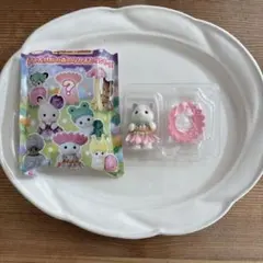 ラテネコの赤ちゃん