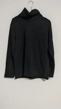 Item thumbnail for item a097accc-504d-483f-ac72-fb68ddfa6380