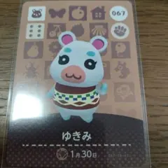 あつまれどうぶつの森　amiiboカード　ゆきみ