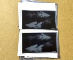 呪術廻戦　懐玉・玉折　ED クリアステッカー　五条悟　2枚セット