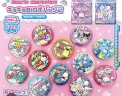 サンリオ/キラキラBIG缶バッジ2/ポチャッコ