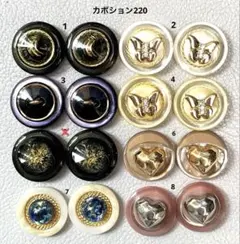 ボタンカボション220⑨ 6/27
