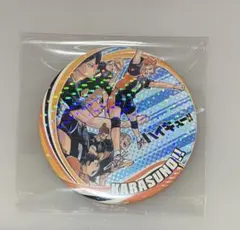 ハイキュー‼︎ コレクション缶バッジ　第6弾 烏野高校　レア シークレット