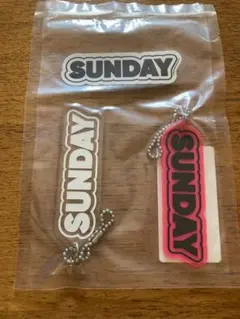 journal standard luxe SUNDAY キーチェーン2つセット
