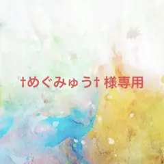 †めぐみゅう† 様確認専用ページ【取り置き中　3月末迄】