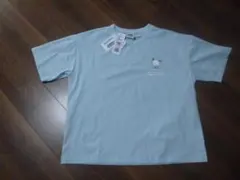 Item thumbnail for item 9c0cc491-eded-416e-843a-6c97862e5db7