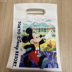 東京ディズニーリゾート ミッキー ミニー バッグ
