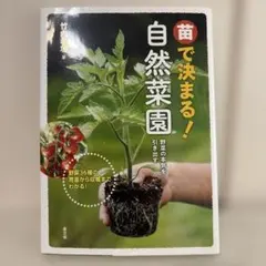 苗で決まる!自然菜園 : 野菜の本気を引き出す : 野菜36種の育苗から収穫ま…