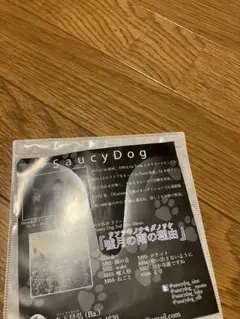 Saucy Dog 嘘月の雨の理由 CD 廃盤】Saucy Dog CD 嘘月の雨の理由 / ウソツキノナミダノワケ 【公式