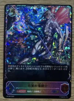 ShadowverseEVOLVE 白亜の竜騎士 プロモ - メルカリ