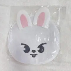 Stary Kids スキズ　リノ　Leebit うちわケース