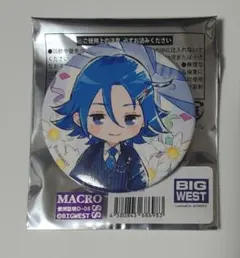 AX2025限定】マクロスオールスター缶バッジ シャロン・アップル - メルカリ