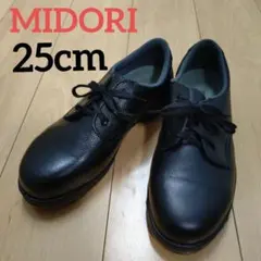 Item thumbnail for item 3b5d8c6f-78d0-415e-8a9e-9d886f8bbda9