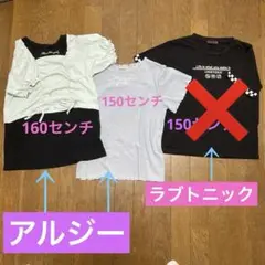 Item thumbnail for item 33530c73-bdcf-4c6e-bc7a-1a39e673263a