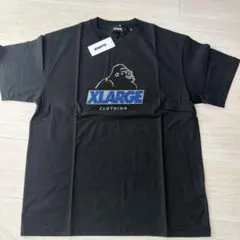 Item thumbnail for item a38f8866-d8c7-42d9-9a00-8eb072495b43