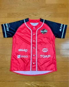 ウルフドッグス名古屋 バレーボール