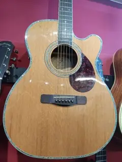 12369】Takamine PT 508 エレアコ ハードケース状態悪いです - メルカリ