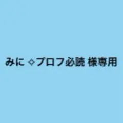 みに ✧プロフ必読 様専用