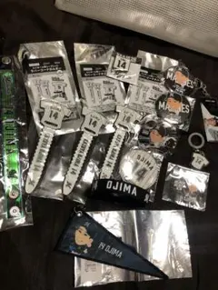 千葉ロッテ【14小島和哉】シークレットグッズ14点