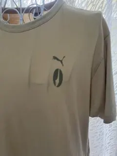 Item thumbnail for item fa058d25-d74a-4deb-b018-f3009109110a